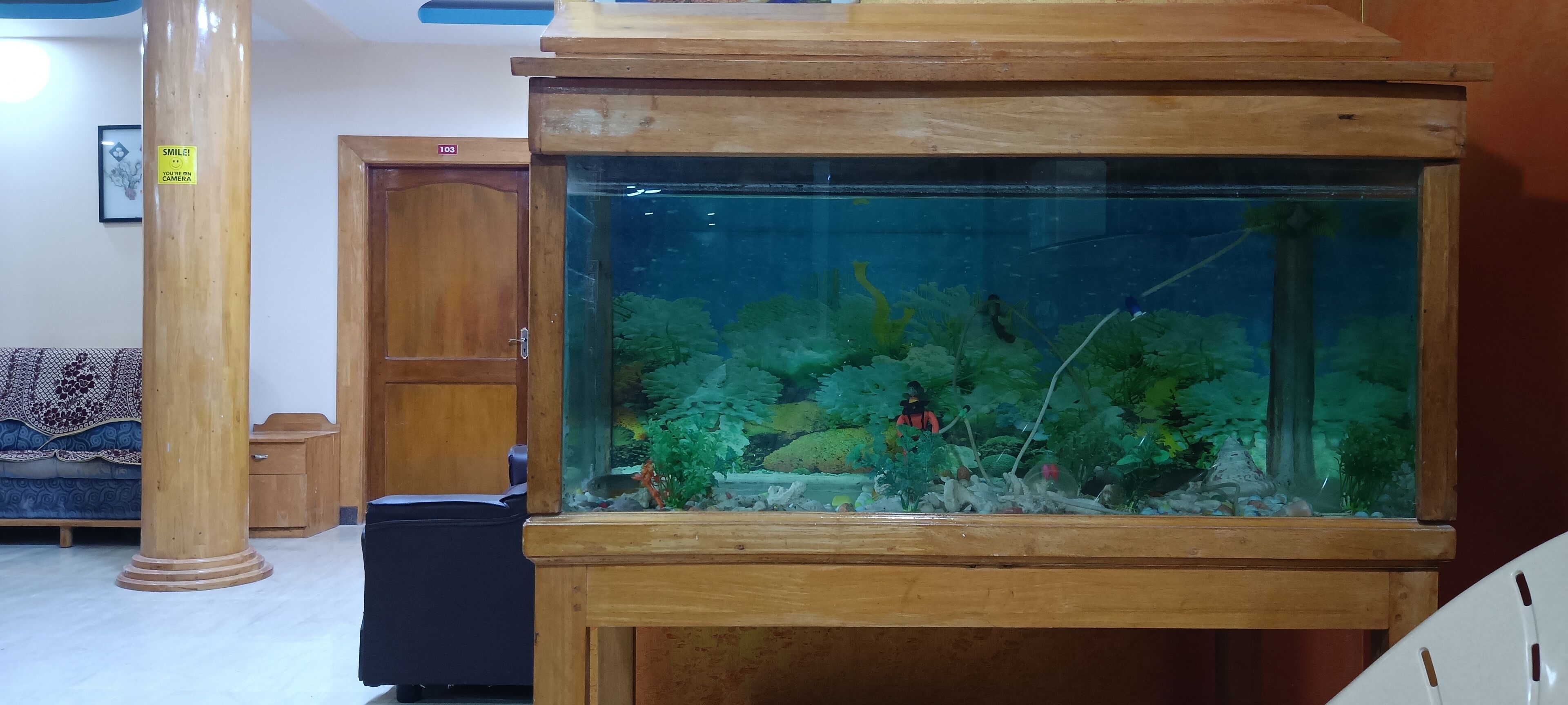 Un acuario de madera con plantas acuáticas y un pez pequeño, sobre un pedestal de madera en una habitación con un sofá azul estampado y un mueble de madera.