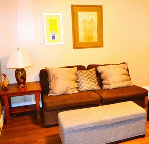 TV - Unwind quietly and save on affordability by opting for the entire apartment.  (Grand Forks)