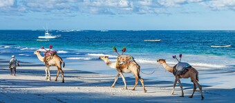 New beautiful villa in great location only 2 minutes to exotic white sandy beach