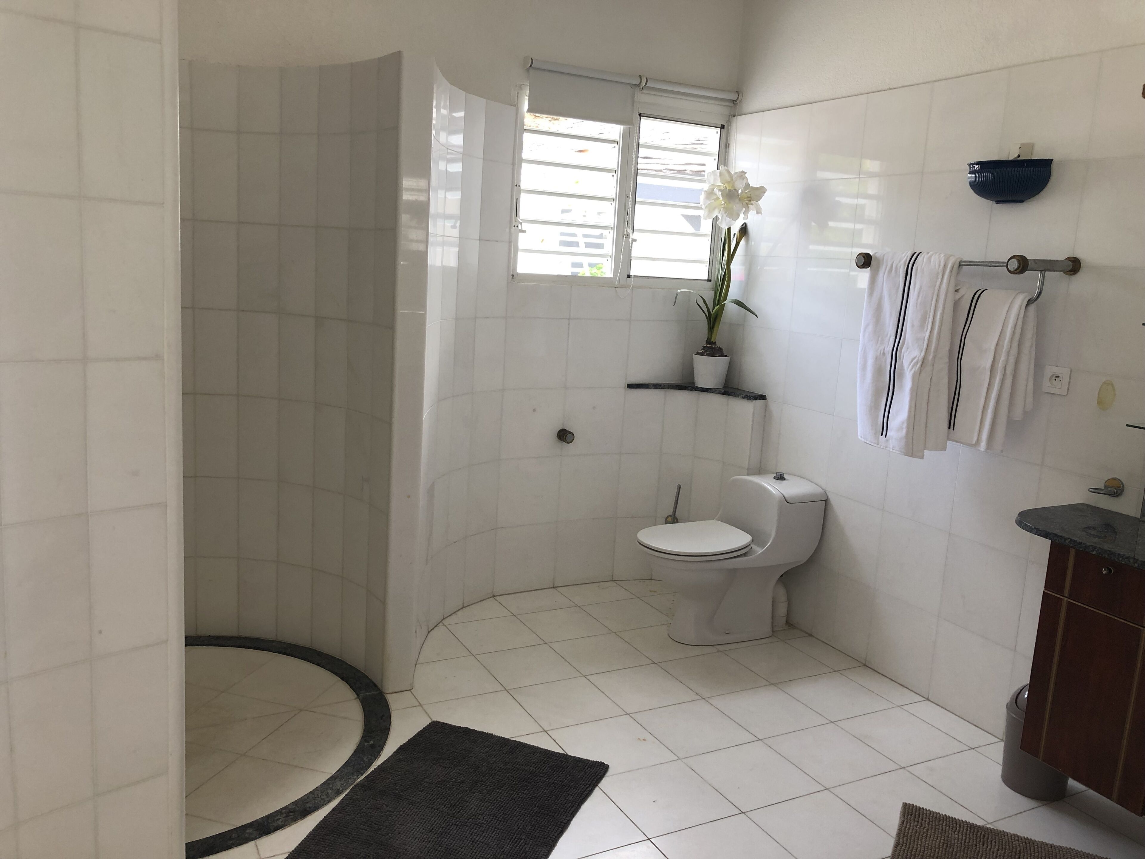 Ein Badezimmer mit Toilette, Dusche, Waschbecken und einem Fenster.