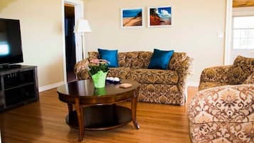 Smart TV, chimenea y libros