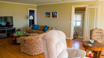 Smart TV, fireplace, books
