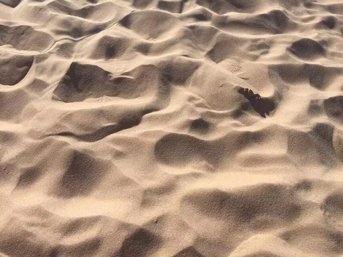 A close-up of sand dunes with a bird in flight.