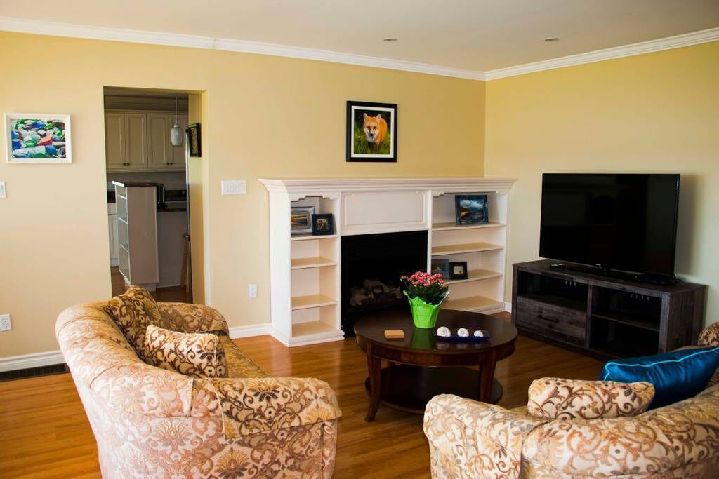 Smart TV, fireplace, books
