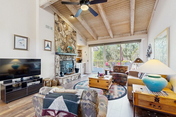 TV, DVD player, books, video library