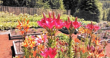 St. Helens am Cowlitz