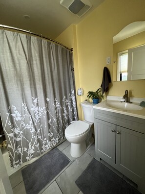 Tina con regadera, secadora de cabello, bidet, toallas 