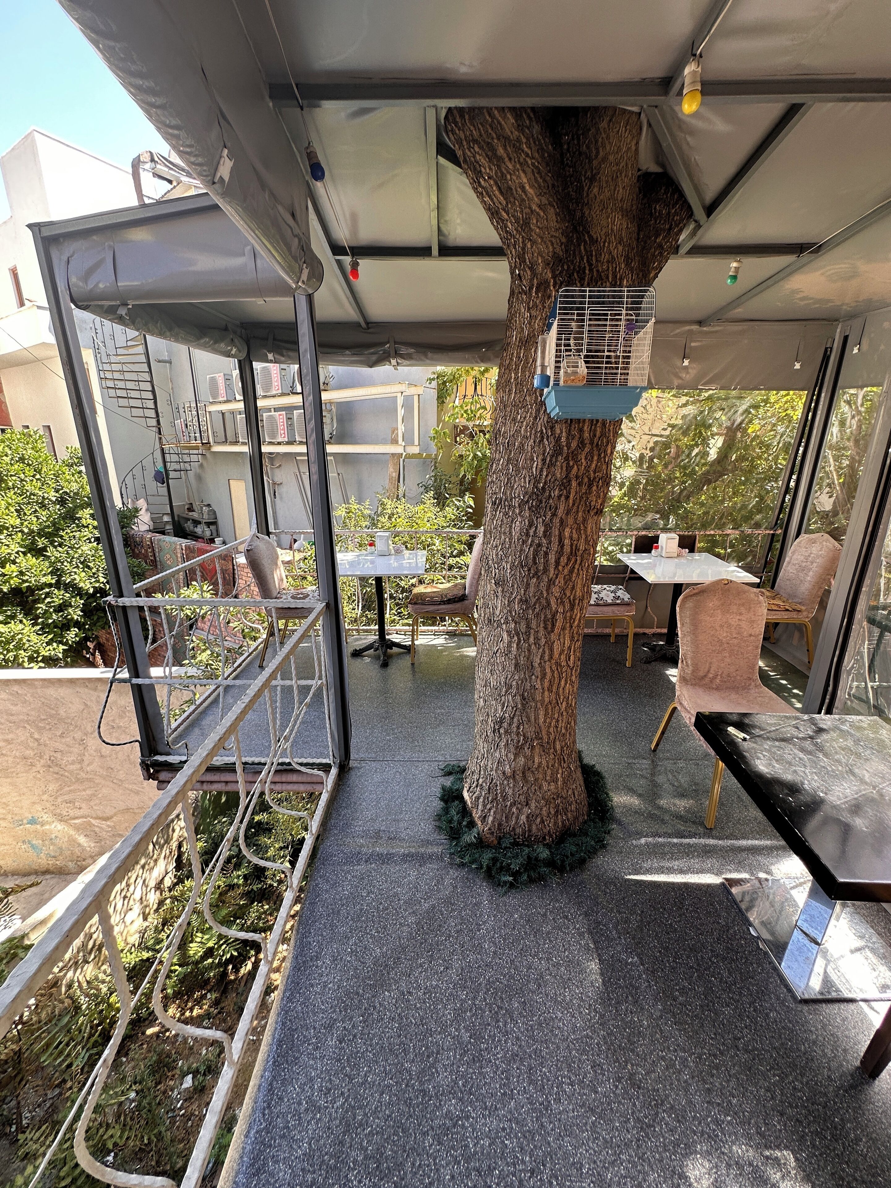 Photo - Hotel Antique