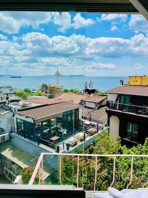 Vista desde la propiedad