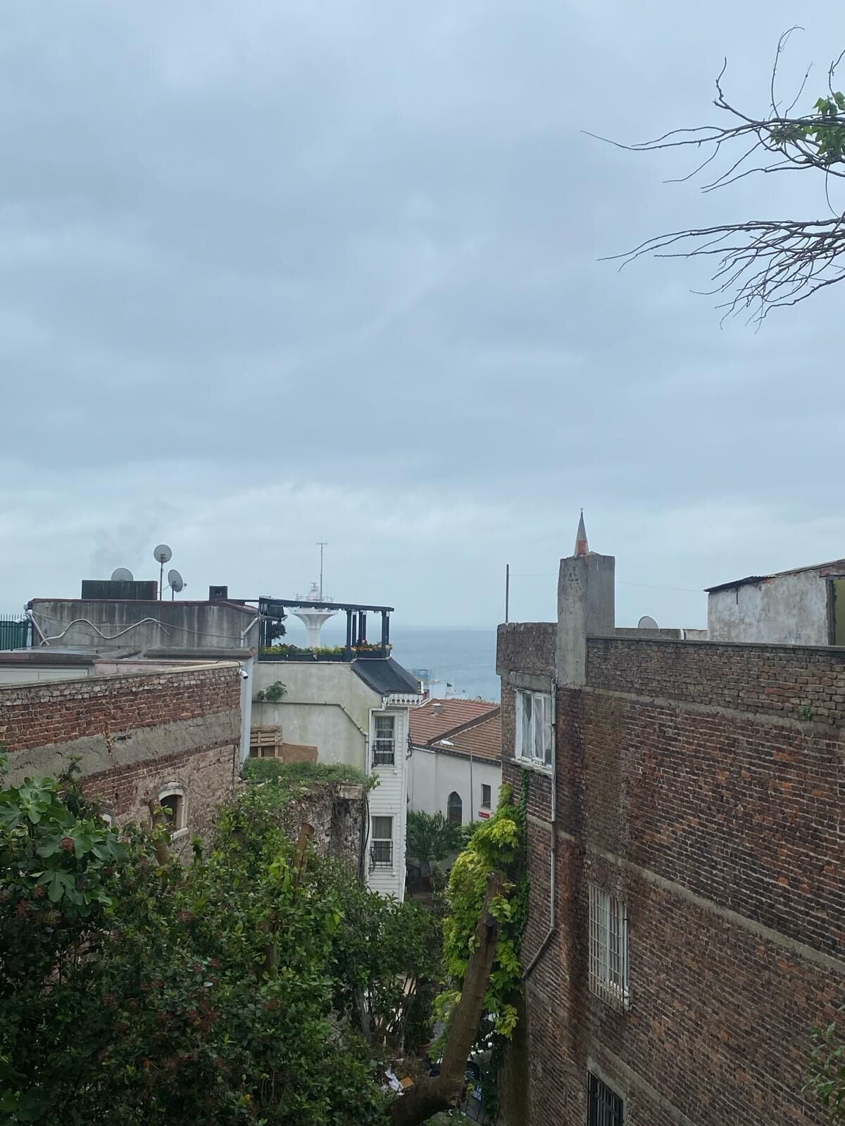 Photo - Hotel Antique