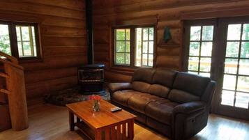 Televisión, chimenea, reproductor de DVD y libros