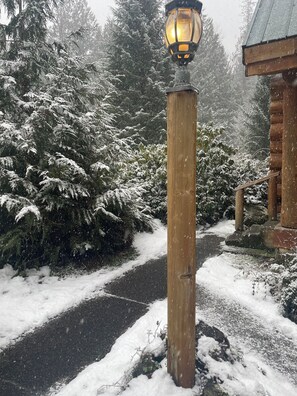 Property grounds - Hand-Scribed Log Home Pet-friendly, Hot Tub, AC, WIFI, Seasonal River Access (Randle)