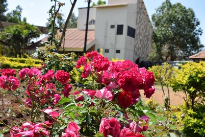 Sharmin Rose Bungalow
