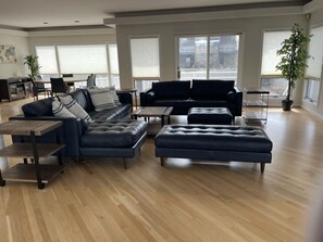 TV connectée, cheminée, livres, chaîne hi-fi