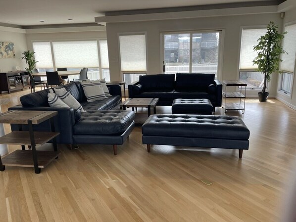 Smart TV, fireplace, books, stereo