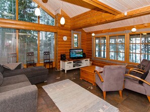 Fernseher, DVD-Player