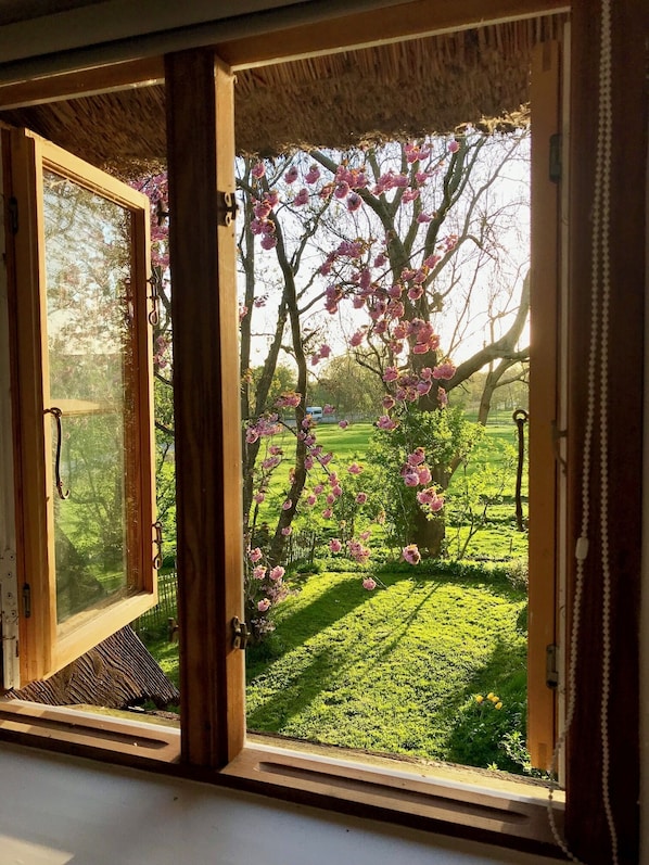 Une pièce dotée d’une grande fenêtre donnant sur un jardin où s’épanouissent des fleurs roses et s’étend une pelouse verdoyante.