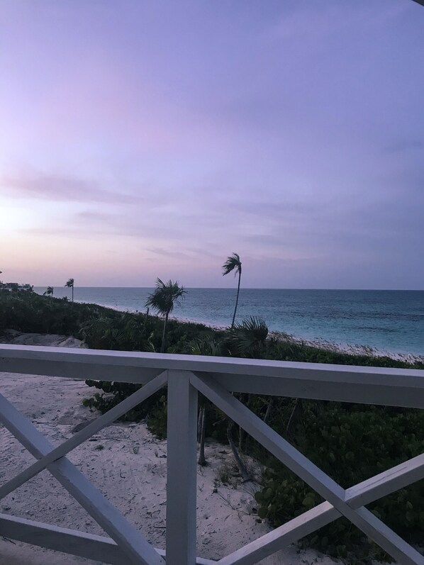 A beach view with palm trees and a railing. - Coral Beachside - Private Beach Resort (Greenwood)