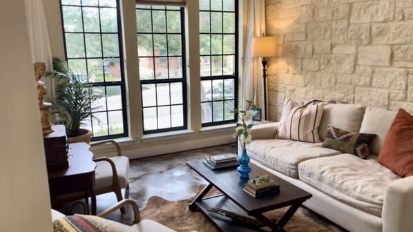 Télévision, cheminée, lecteur de DVD, livres