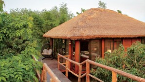 Uma cabana com telhado de palha e um deck de madeira que a leva a ela, cercada por vegetação densa.
