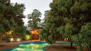 Área de piscina com uma estrutura de madeira ao fundo, cercada por árvores.