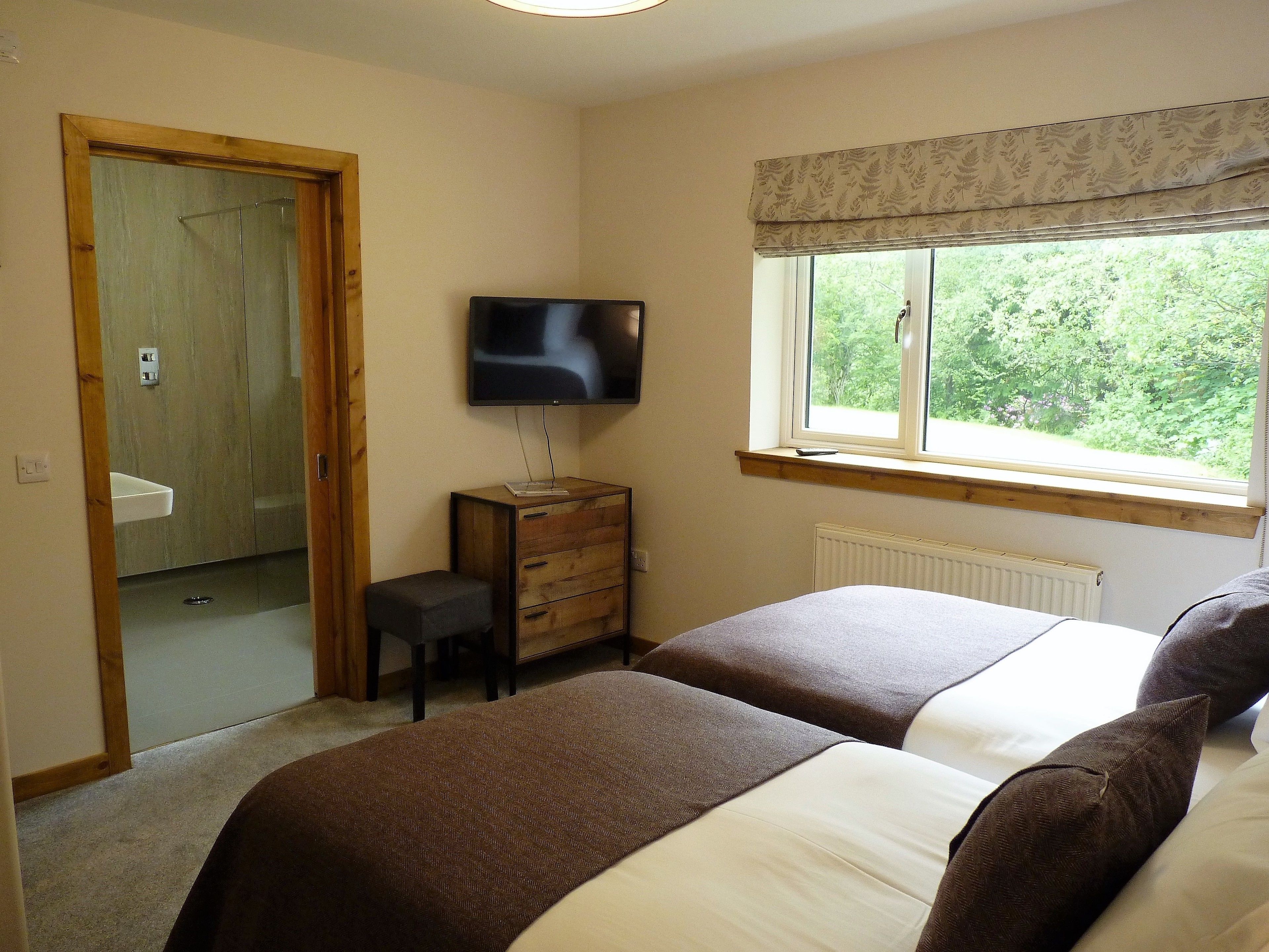 A bedroom with two beds, a TV, a window with a view of greenery, and a wooden door.