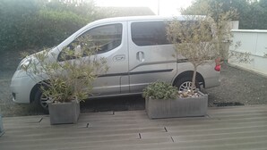 Een zilveren busje geparkeerd op een houten terras, met twee potplanten ernaast.