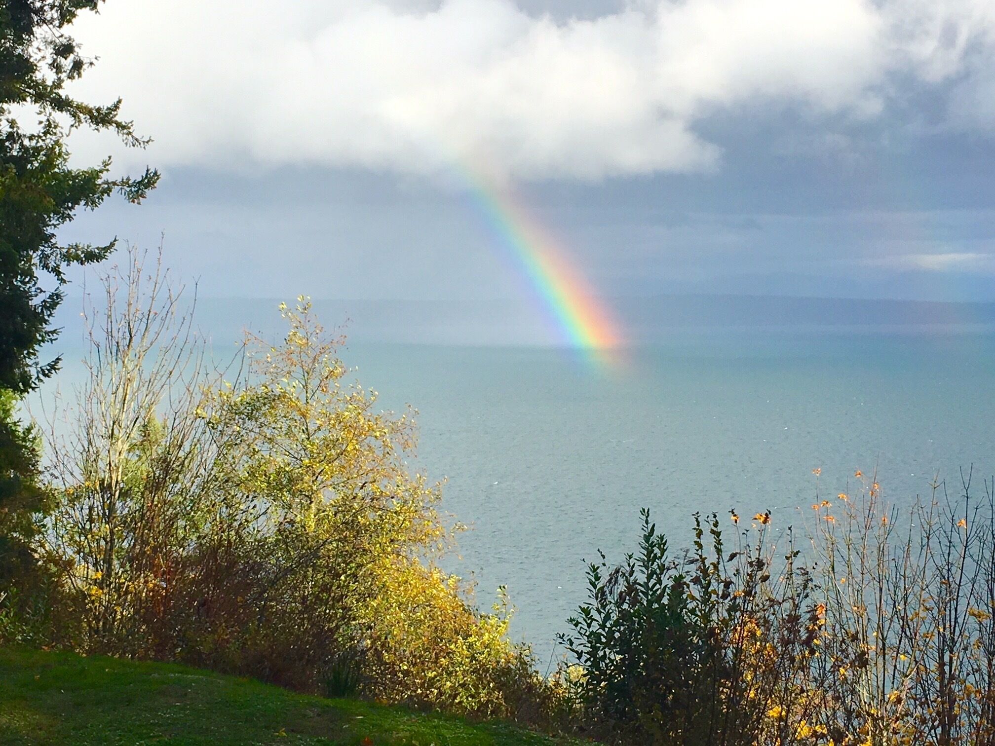Eine Küstenlandschaft mit einem Regenbogen über dem Meer, umgeben von Bäumen und Sträuchern.