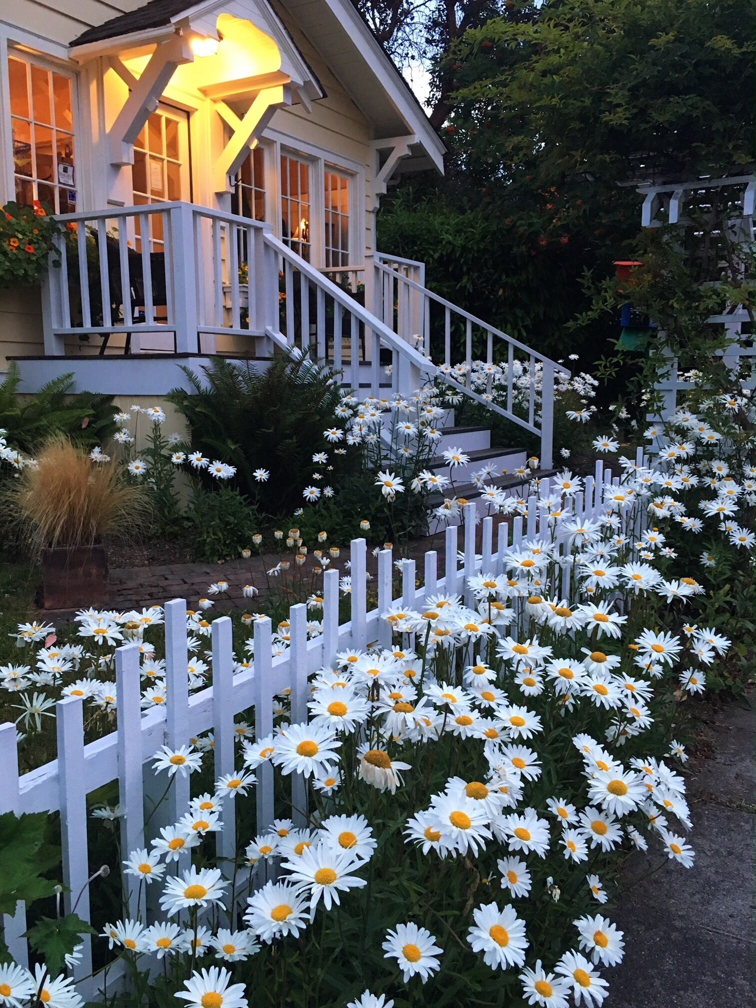 Áreas de la propiedad