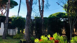 Un jardín con árboles maduros, césped cuidado y plantas con flores.