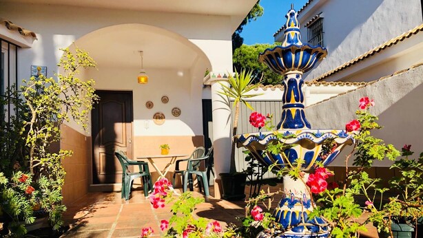 Un patio con una fuente, plantas en macetas y asientos al aire libre.