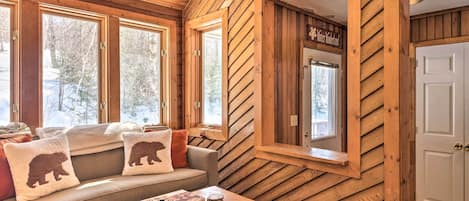 TV, fireplace, books