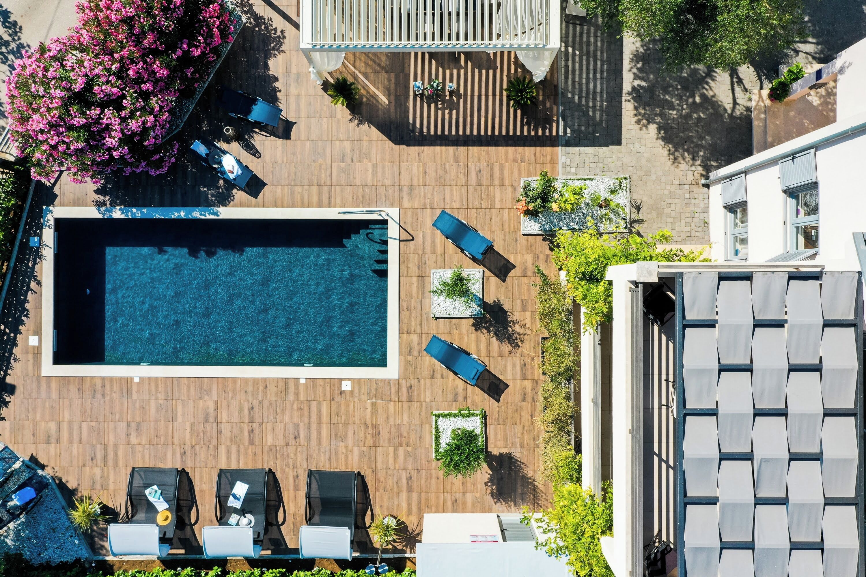 Vista aérea de un área de piscina en la azotea, con piscina, sillas de descanso y plantas en macetas.