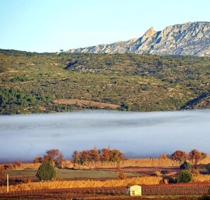 Exterior - Auberge du Cellier (Montner)