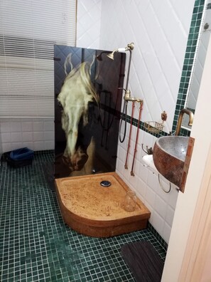 Chuveiro, secador de cabelo, bidê, toalhas de banho