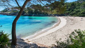 A beach with clear turquoise water, sandy shore, and a tree in the foreground.