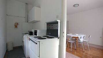 Apartment | Private kitchen | Fridge, microwave, oven, stovetop