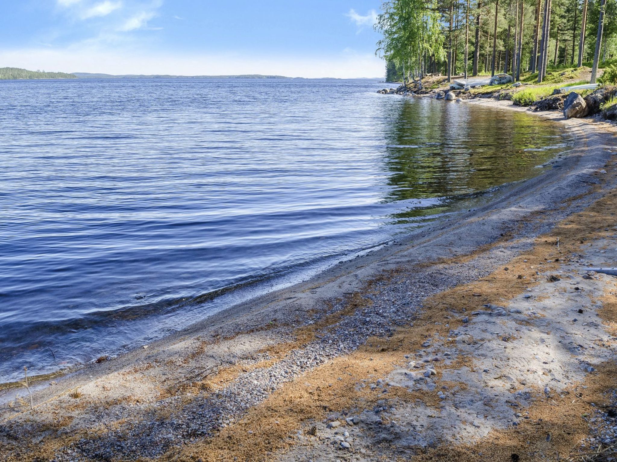 A shoreline with a clear view of the water, a sandy beach, and a forested area.