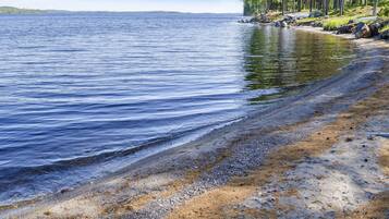 A shoreline with a clear view of the water, a sandy beach, and a forested area.