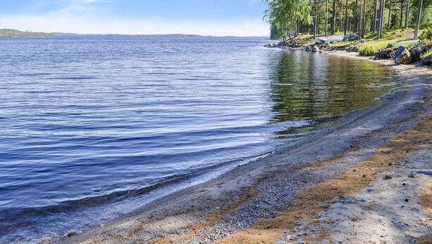 Un lac paisible, avec une plage de galets et des arbres en arrière-plan.