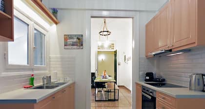 Neoclassical House with Unique Athenian Yard (nearby metro station Panormou)