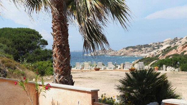 Vista de la playa con una palmera, sillas de descanso y un litoral rocoso.