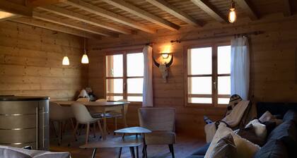 T4 standing Pra Loup 1600 sauna park privé 50m des pistes /office de tourisme