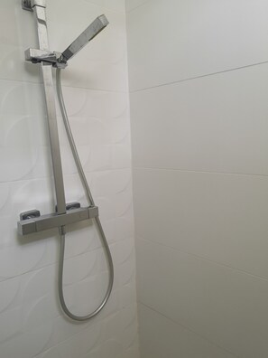 Shower, hair dryer, toilet paper