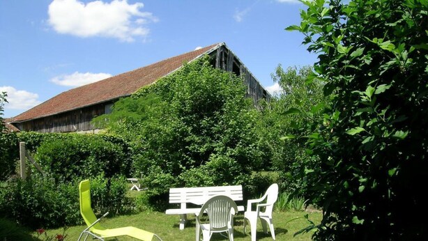 Une cour arrière verdoyante avec un banc blanc et une chaise jaune, entourée d’une végétation luxuriante et d’un bâtiment en bois en arrière-plan.