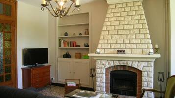 TV, fireplace, DVD player