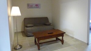 TV - Spacious renovated house, green surroundings (Valigny)