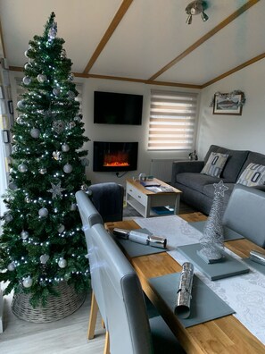 Smart TV, fireplace, DVD player