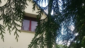 Un edificio con tetto spiovente e una piccola finestra.