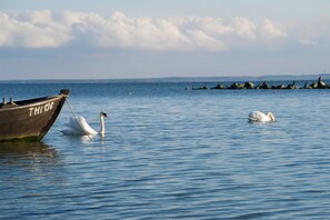 Image sans description, 4 de 38, bouton